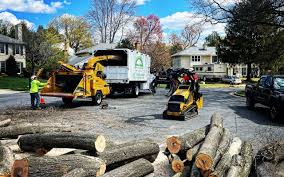 Best Tree and Shrub Care  in Landing, NJ