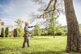 Best Lawn Pest Prevention  in Landing, NJ